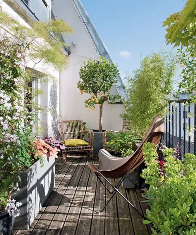 这才是理想中的阳台