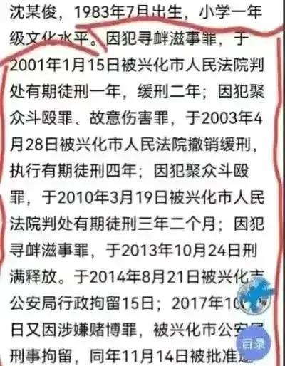 最后一个被抓的沈某俊是何来历?为什么他成为了罪魁祸首?