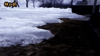 如果地球脱离轨道,赤道下雪,大海结冰,人类或将进化成新物种