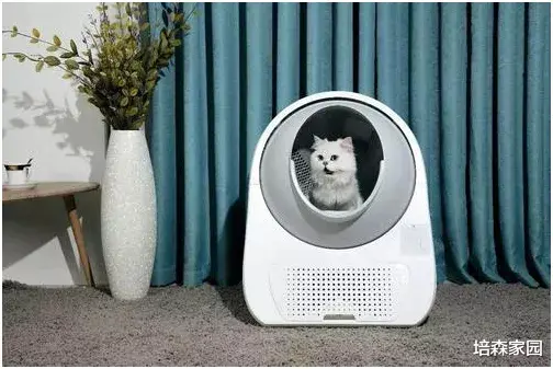 从自动饮水机到自动猫砂盆，宠物智能产品的未来何去何从？