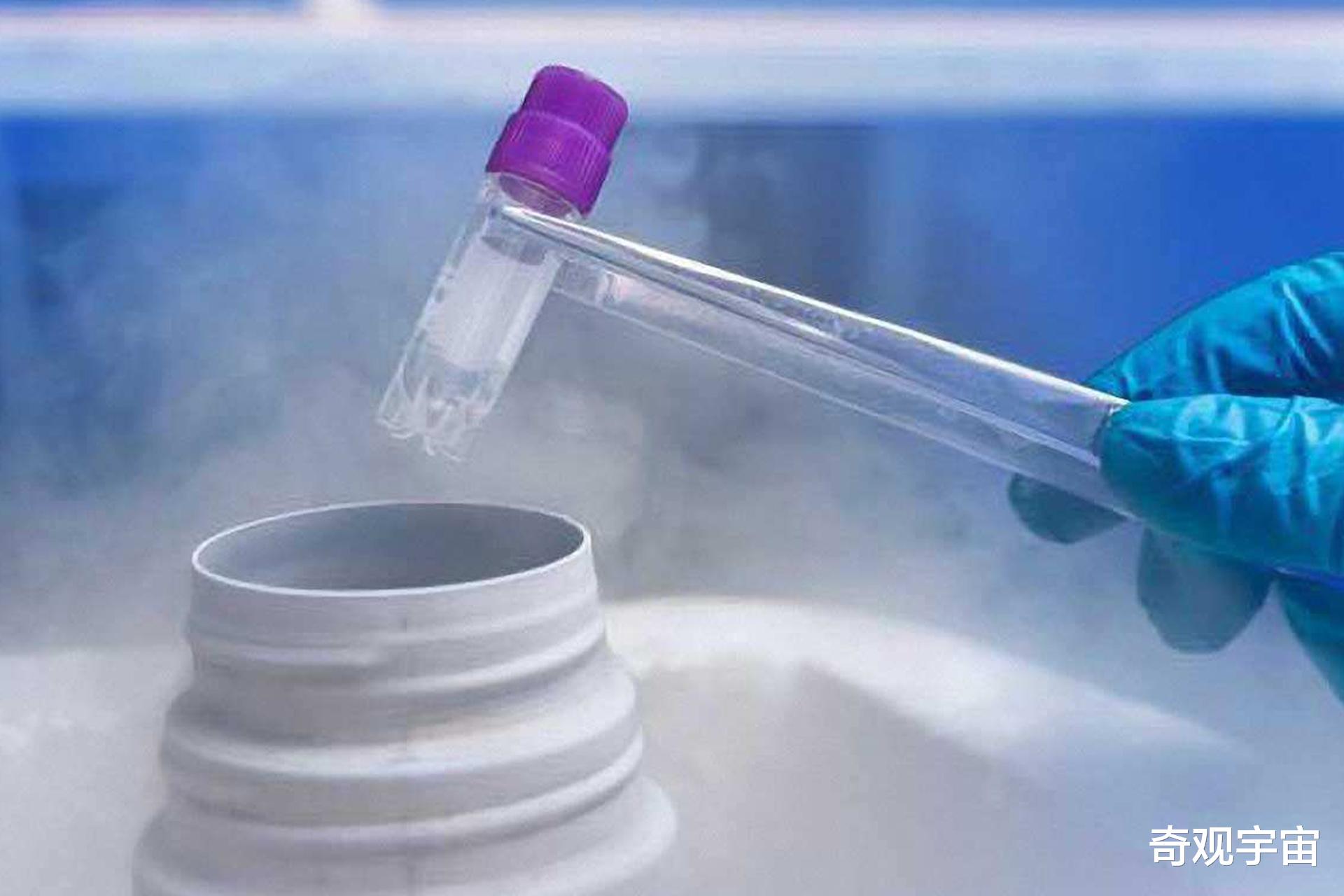 科学家发现试管婴儿更聪明?诺奖得主发文,智力发展源自于多种因素