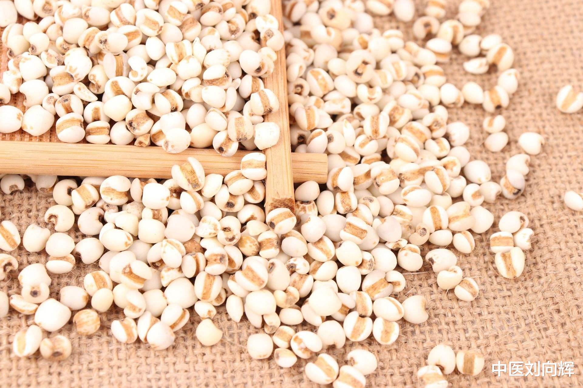 便秘|湿气重，浑身乏力？简单两味药，健脾 祛湿 补气，让你全身充满活力