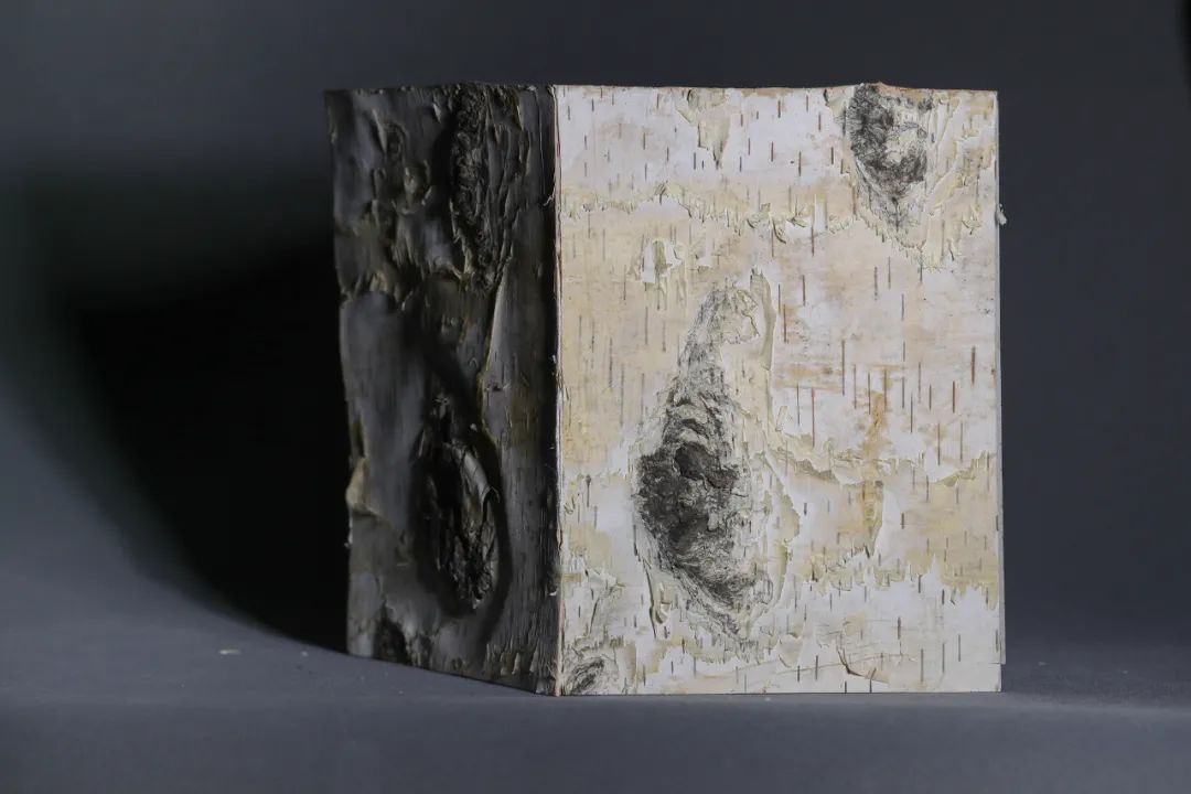 摄影的书不应该被摄影所束缚