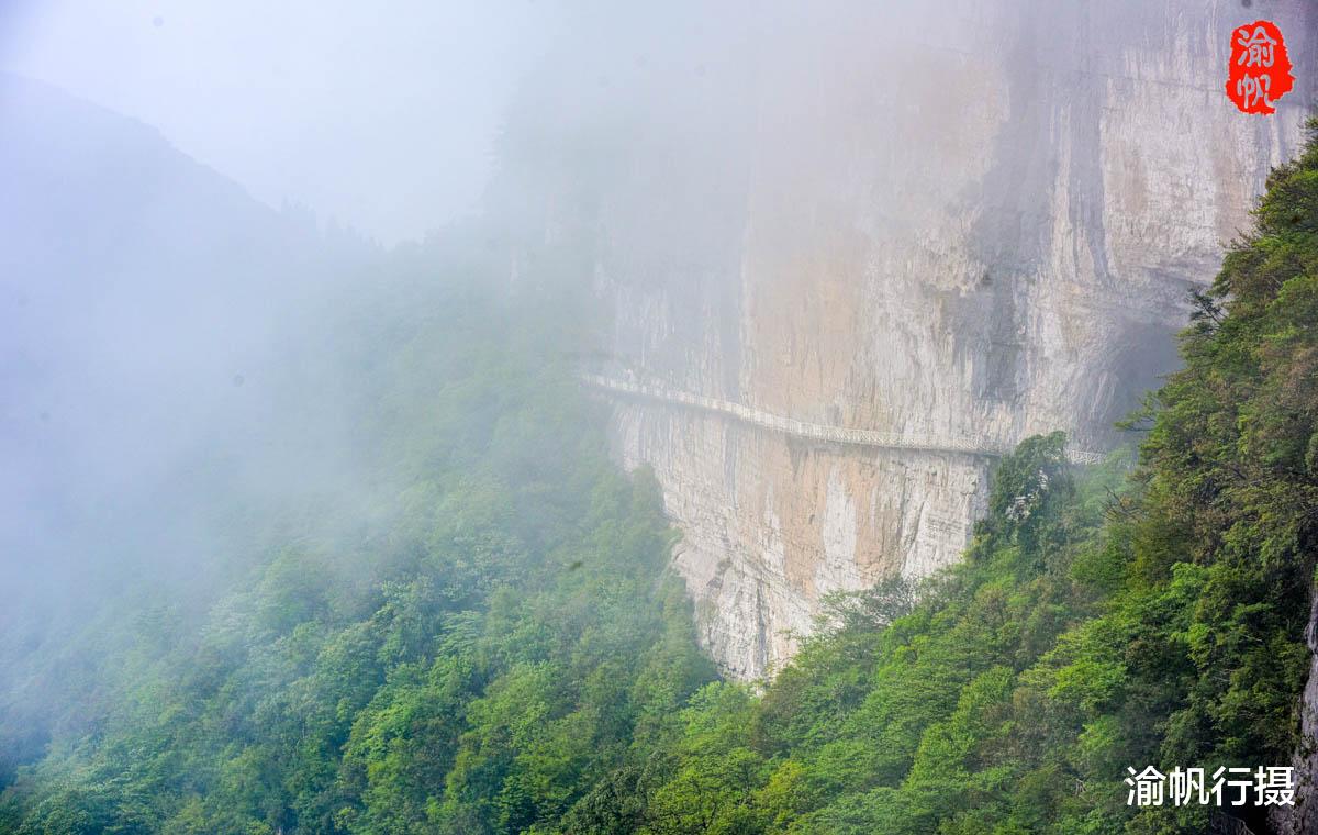金佛山|重庆最有名的山，不仅是5A景区，还是世界遗产，雨天上山如临仙境