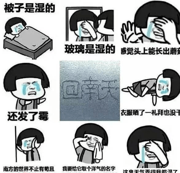 药海淘生活惠|网友直呼:太潮啦!