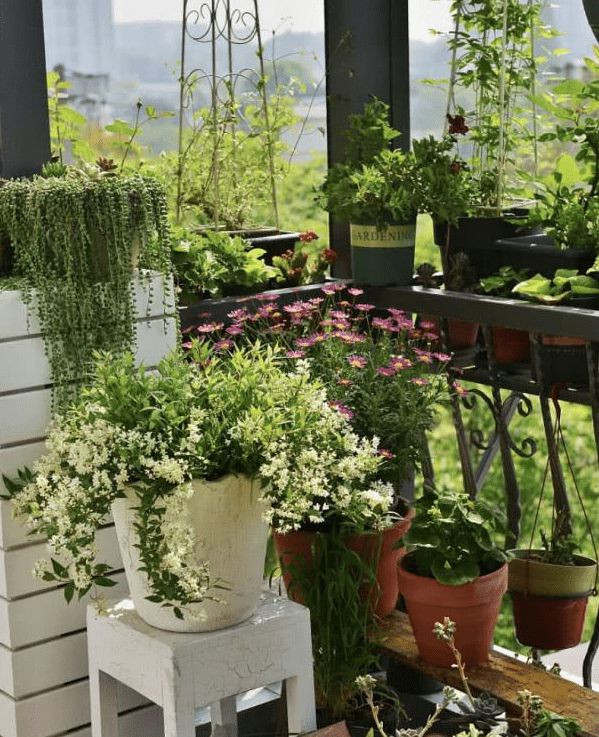 夫妻两买没人要的顶楼,装修完露台变空中花园,邻居都羡慕!