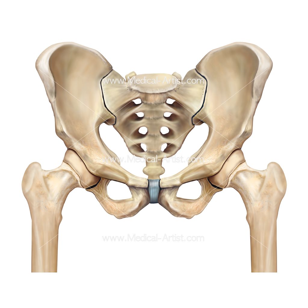 运动|弹响髋原因以及康复训练