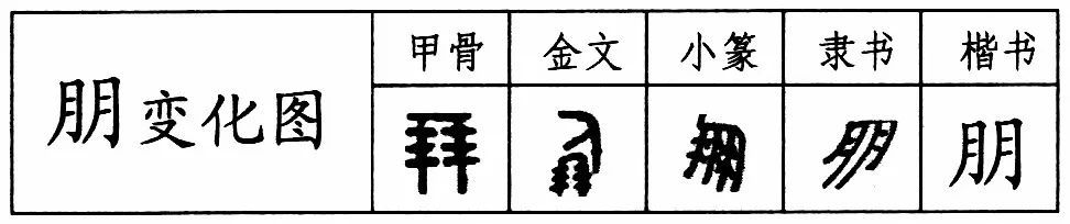 古代一捧贝壳能买500亩良田,穷人为什么不多捡些致富