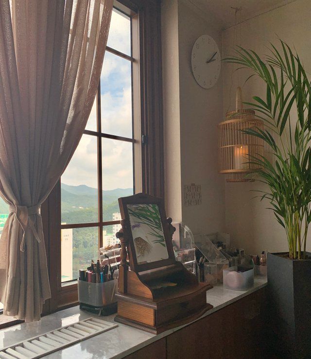 韩国25岁女主的独居生活:住60㎡小家,与宠物为伴,生活幸福