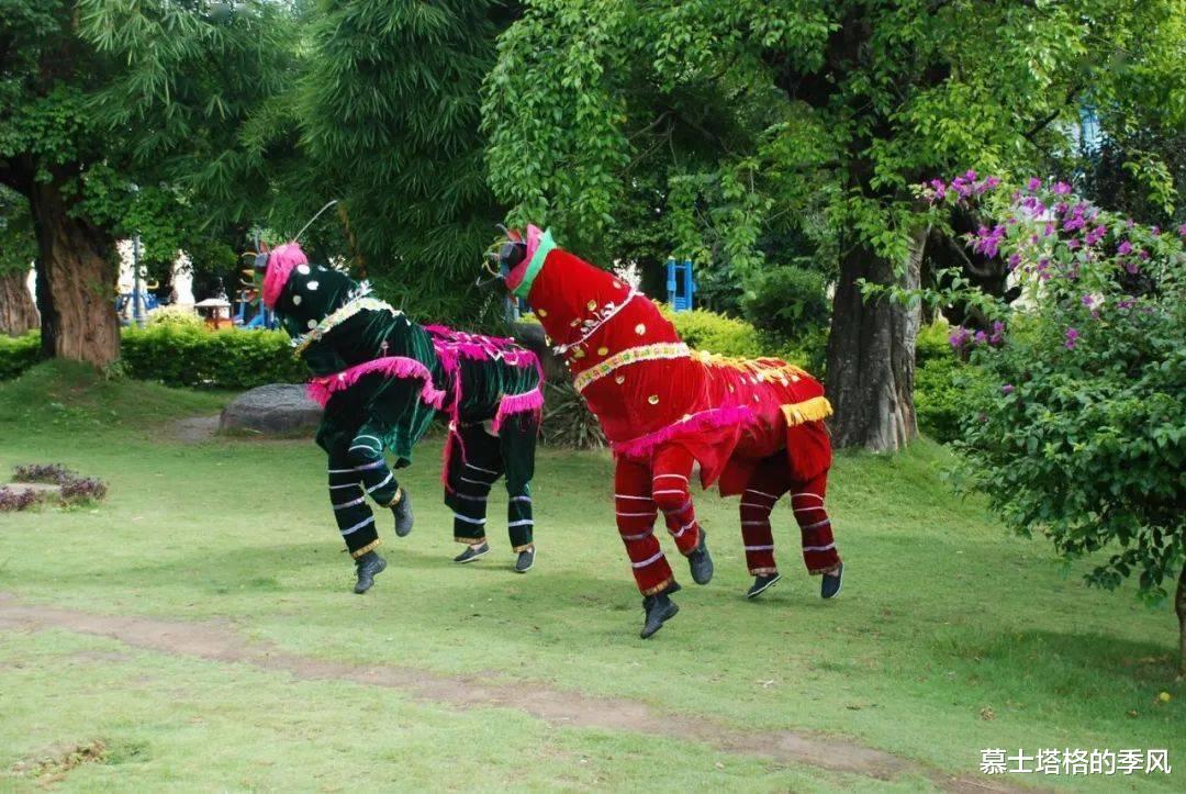 蠡湖|云南的“恒温之城”藏着一座过冬小镇，环境好、物价低，气候宜人
