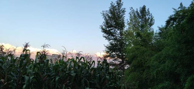 昭通|重走来时的路！云南昭通乐居镇周家口子村散步记