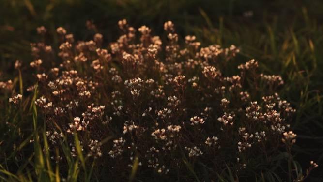 家电企业|高端套系和下沉渠道，真的能拯救家电厂商于水火吗？