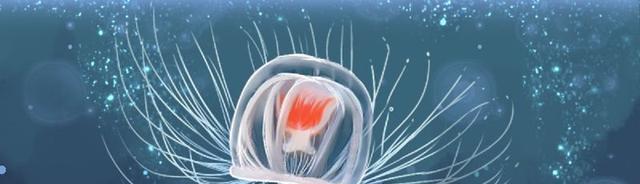 人的衰老其实不是匀速的?当人处于34岁、60岁和78岁时老得最快
