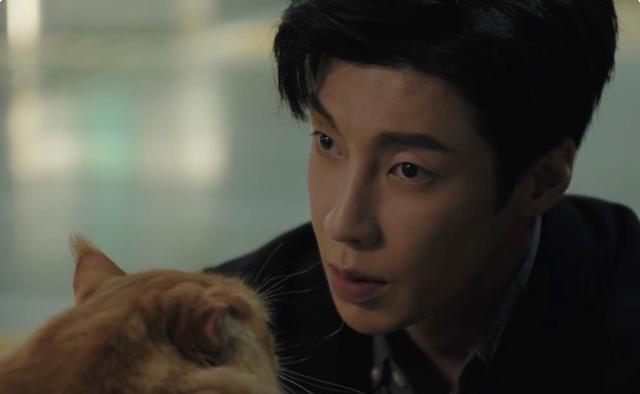 电视剧|《陪你一起好好吃饭》开播，好评如潮，男女主颜值演技让人惊艳