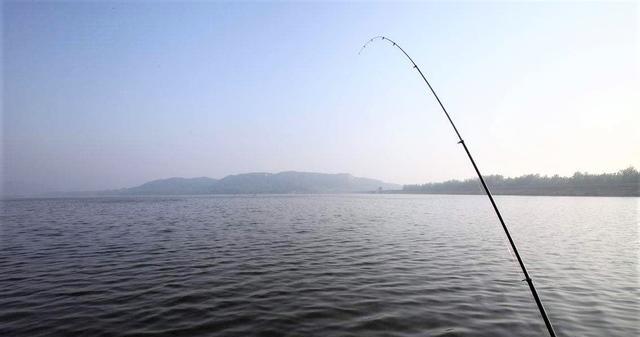 饵料|鲤鱼喜欢什么味道?用这三种食物做的鱼饵,钓鲤鱼比一般饵料强