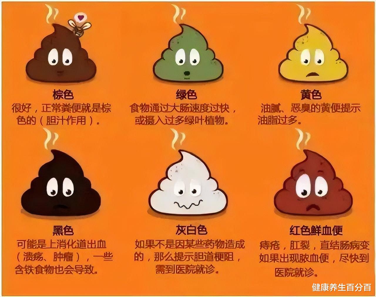 肠胃|大便学问多,颜色、形状、气味看肠道,为什么要做粪便潜血检查?