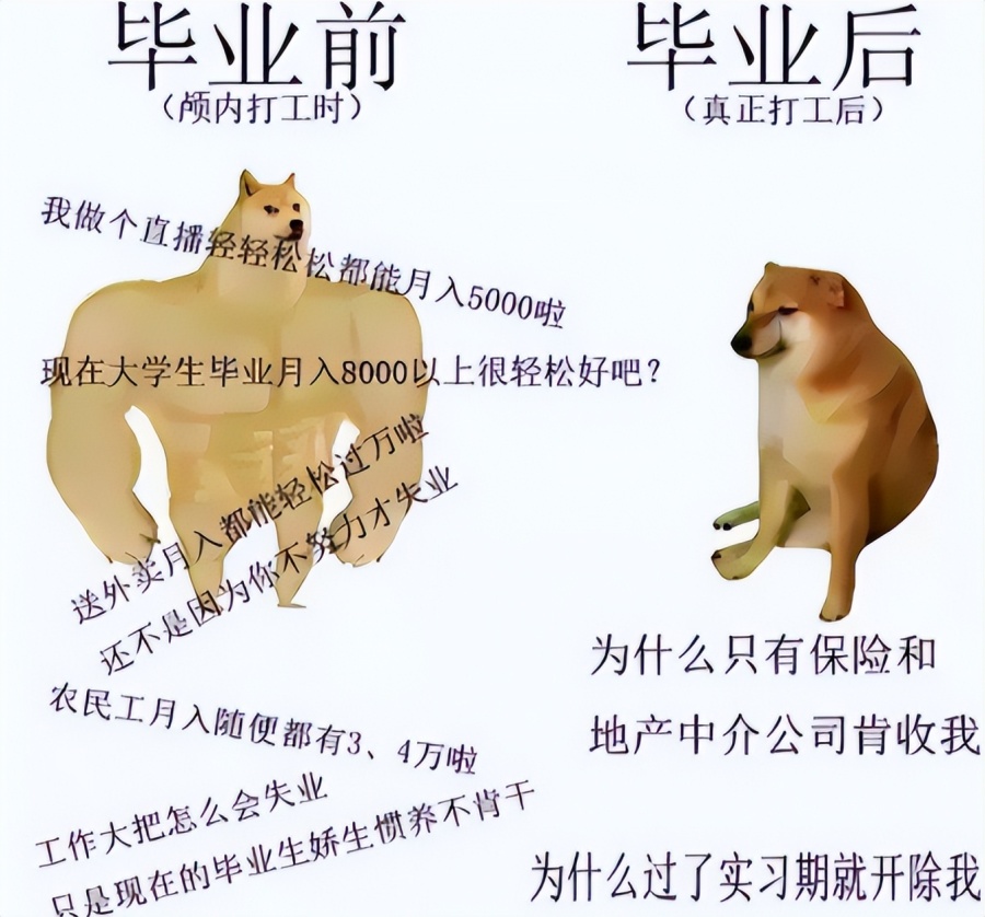 00后|大学生毕业前后的对比照,看完笑出眼泪,网友:这不就是我么?