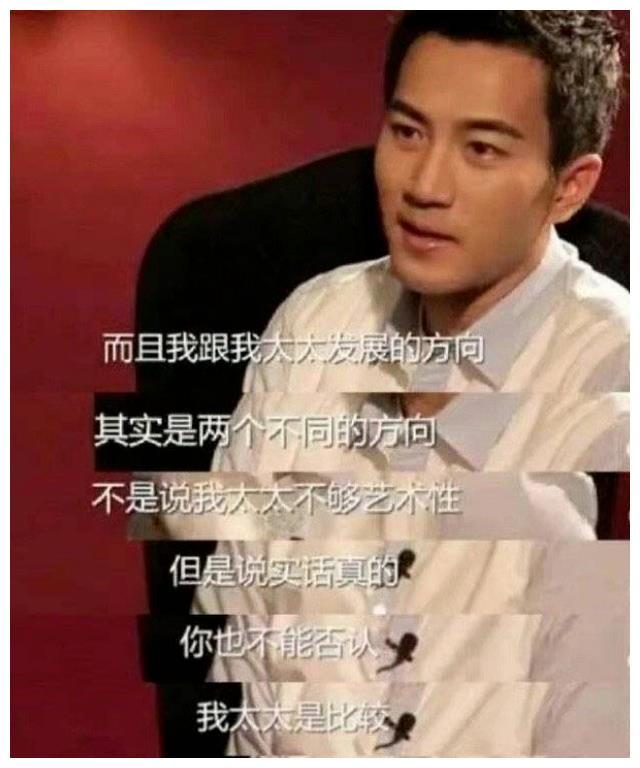 刘恺威|刘恺威的沉浮史:输了事业,赢了爱情