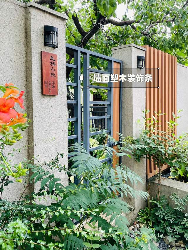 ?花3年时间,折腾一个低维护的小花园,院子这样装太适合懒人了!