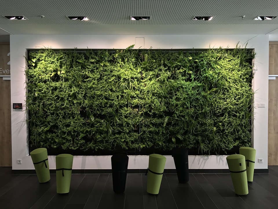 |职场中，我们应该怎么学会自我学习？