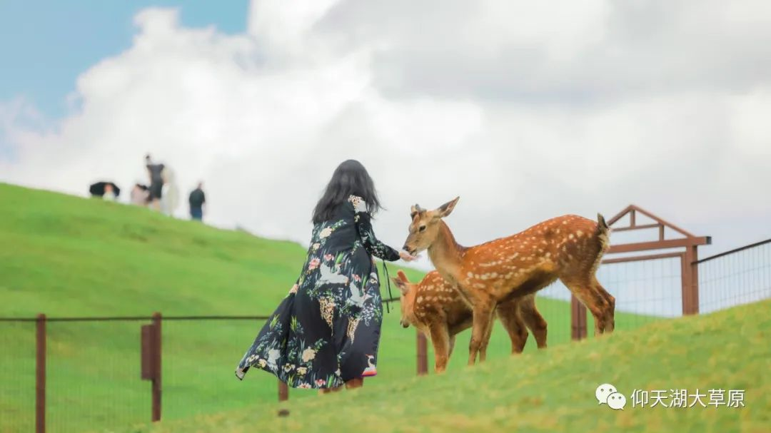 |国庆小长假保姆级游玩攻略，还有国潮美食节等你来打卡！