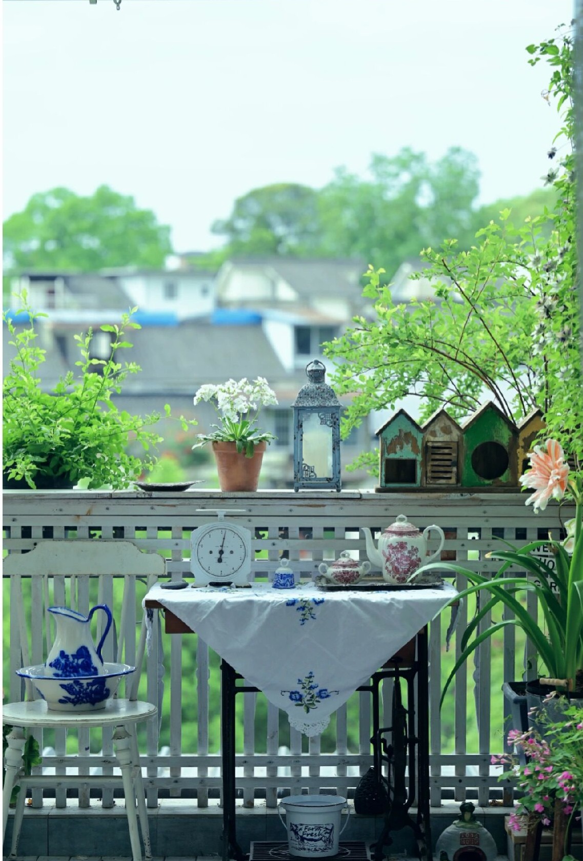 没有大院子,买个20㎡阳台建花园,历时五年的折腾,不要太好看