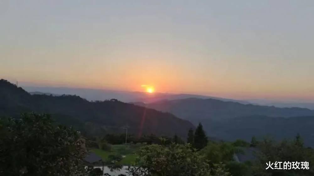重庆|来场说走就走的旅行，在花海森林中拥抱原生态