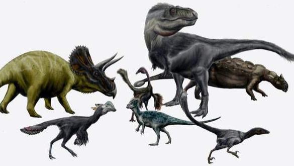 恐龙没有全部灭绝，仍然生活在地球上，在人类身边随处可见