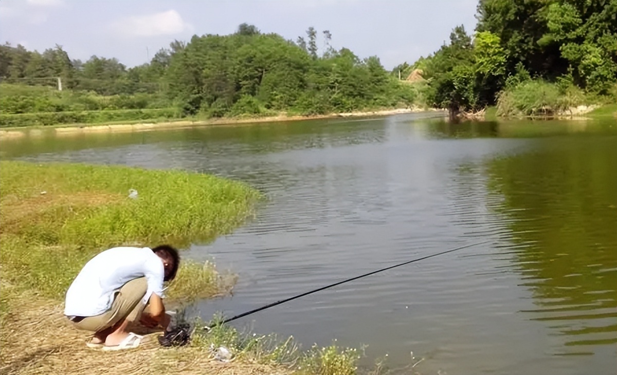 神操作|新手这4种“神”操作,尤其是第3个,是钓中的多是大鱼的秘诀