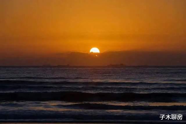 茶园|在这里，藏着生活的另一种答案