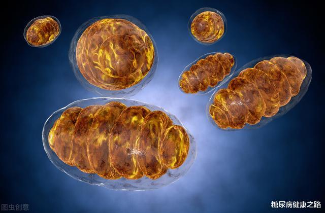 肺病|延长寿命50%！肠道益生菌可能是人类长寿与健康的关键