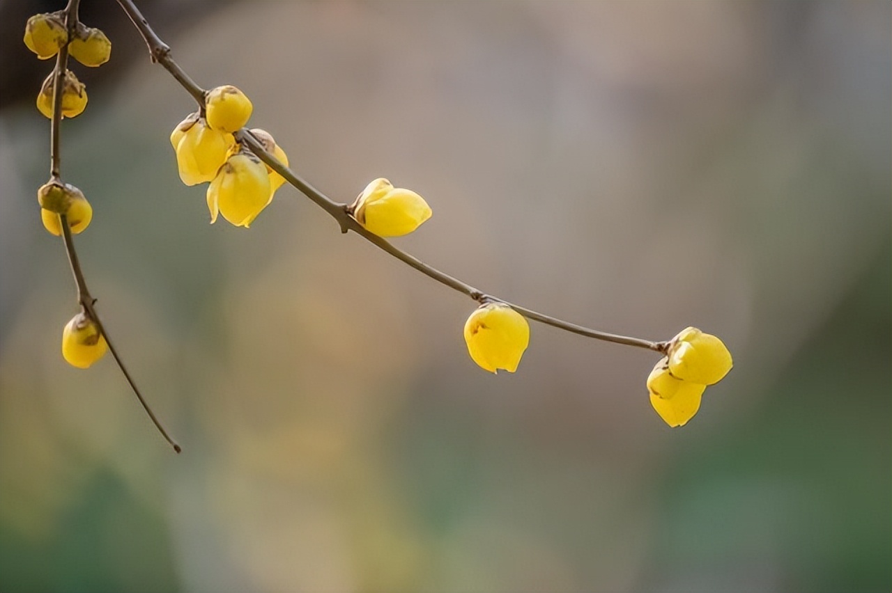 |一位中年女人的醒悟:伺候丈夫半辈子,老了才发现两个残酷真相