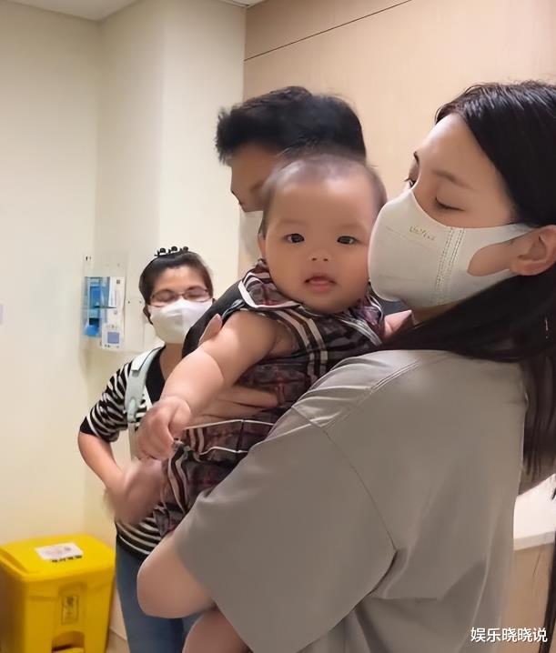 韩安冉|真速度!时隔半年,兜儿自曝已怀二胎,网友:可怜了韩安冉