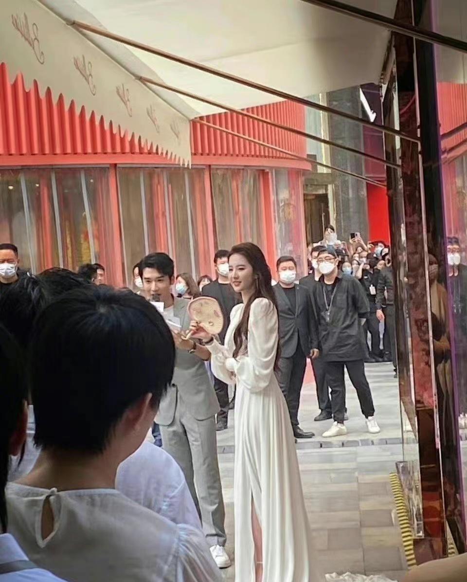 刘亦菲|刘亦菲出活动人山人海,路人顶着40度爬树看女神,国民度独一无二