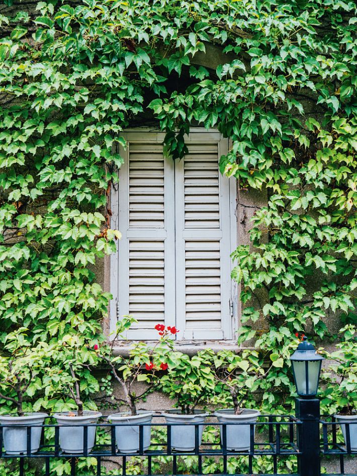 海岛|去海岛只想着游泳？太浪费了