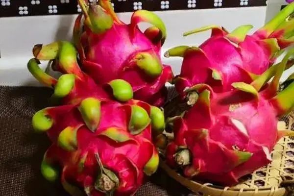 火龙果|买火龙果，红心的好还是白心的好？以后别买错了