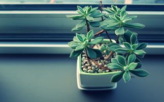 00后|专家称可以给00后增加工作强度：钱不到位，加班就是一种自我消耗