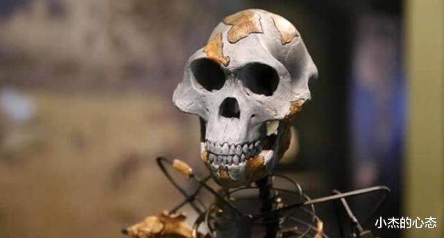 25万年前的“铁器”被发现,达尔文进化论被“打脸”?