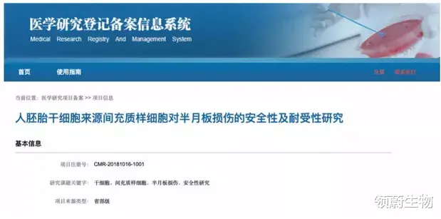 运动员|中国女足第9次夺得亚洲杯冠军——虽然精彩绝伦，但运动员受伤的风险也大大增加