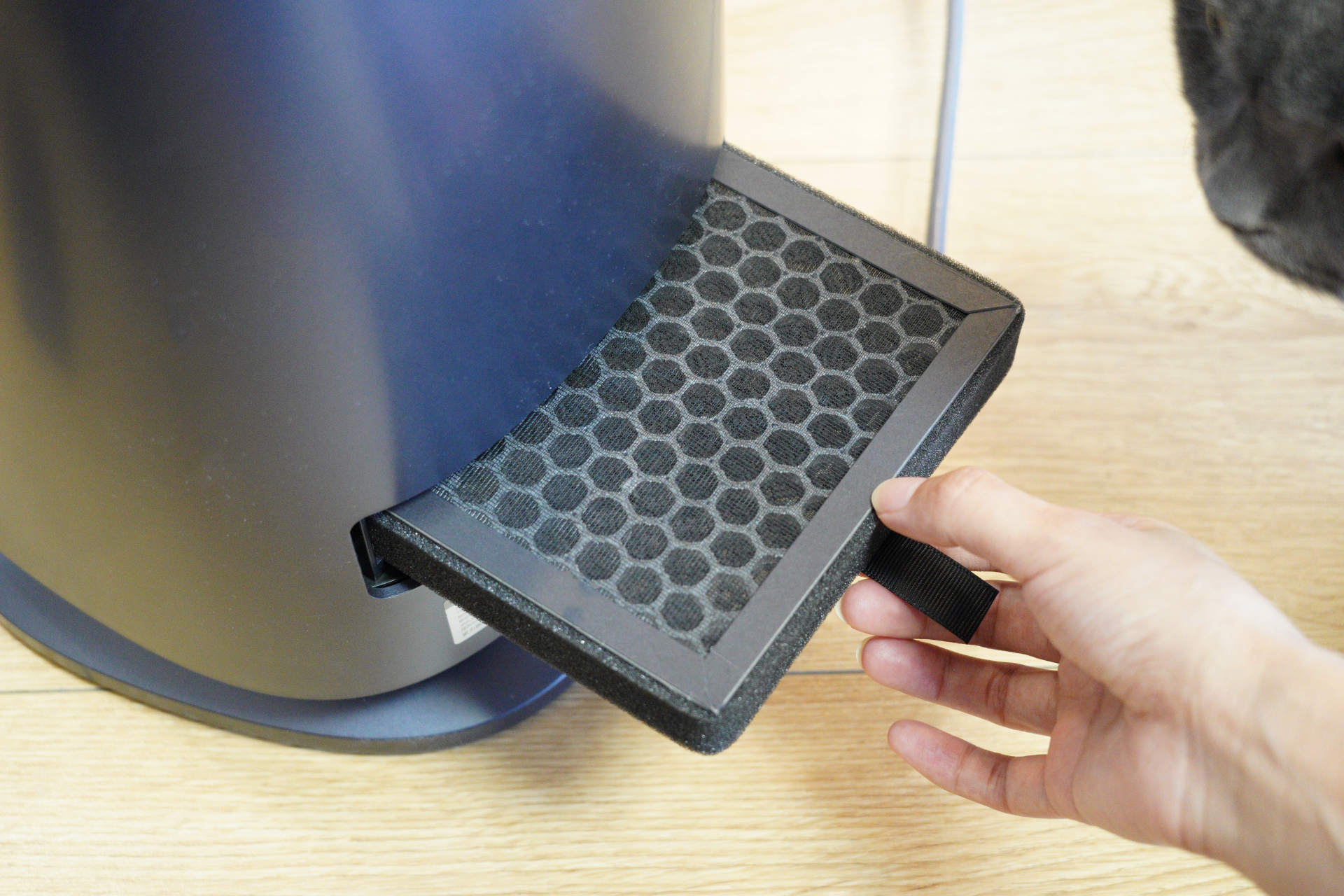 空调|挖到宝了!你以为它只是风扇?其实它还是暖风机和净化器!