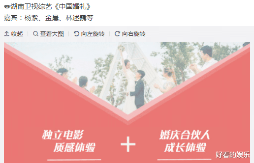 杨紫|没等来《余生请多指教》，却迎来杨紫的新综艺，搭档金晨、林述巍