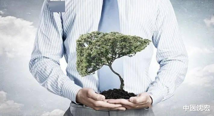 中成药|一个中成药，降压，降脂，定眩，改善头晕头疼，耳鸣目眩