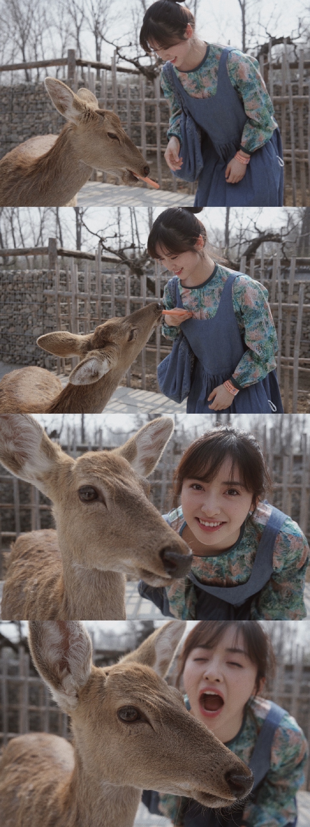 TVB|沈月游玩动物园拍美照 与小鹿合影笑容灿烂