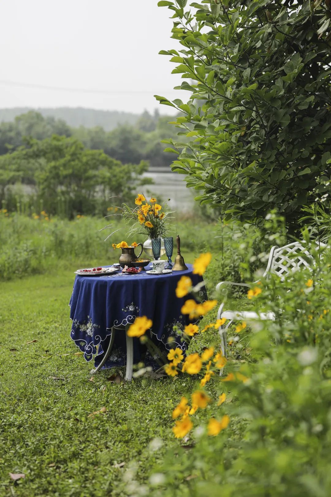 职场故事|告别职场焦虑，她逃到农场拍野花；3年拍了上千张，把爱好修成主业