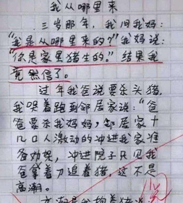 小学生作文《怀孕》火了，发誓要对娘俩负责，老师：真有责任感