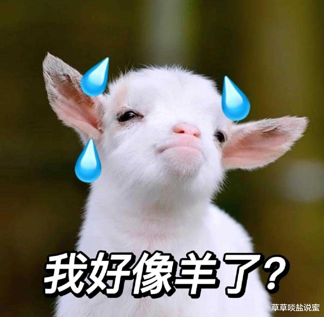 羊来了不可怕,吃饱饭提高免疫力,福建菜红菇捞面线,助你渡疫情
