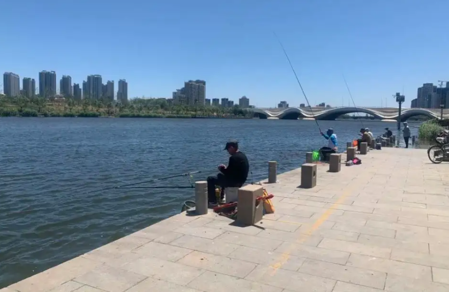 |犯钓瘾, 早起钓鱼, 发现门前的小河各种捕鱼高手云集, 鱼生真的不易!