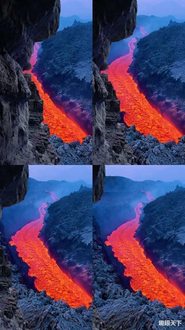 地球正进入第六次生物大灭绝?科学家发现几大可怕迹象,令人担忧