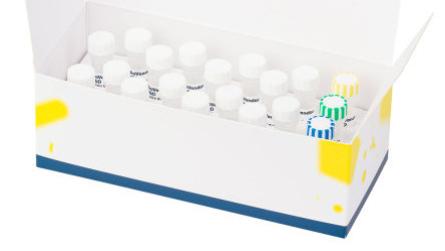 BioVendor人俱乐部细胞蛋白(CC16)Elisa试剂盒研究领域