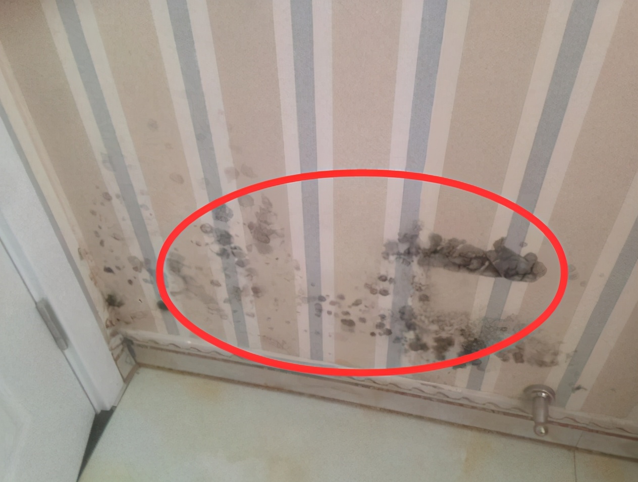 新房装修,这11处大家想好再装也不迟,不要后期出问题再后悔